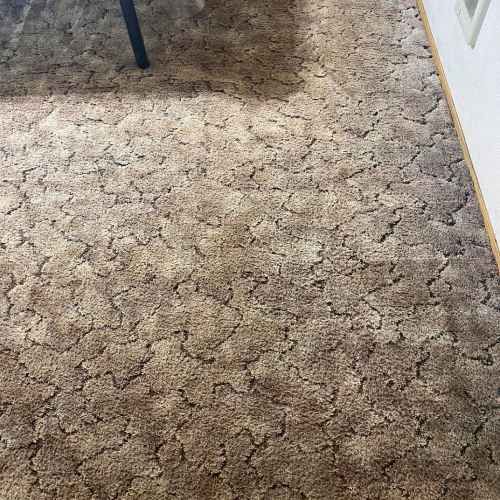 Area Rug Cleaning St Augustine Fl Result 3