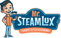 Mr. StemLux Logo