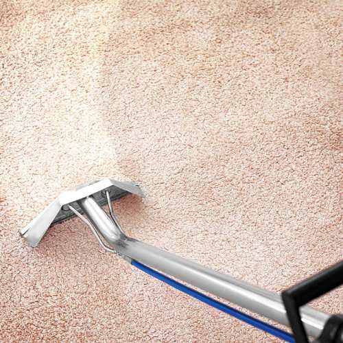Best Carpet Cleaning Palm Valley Fl