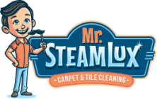 Mr. Steam Lux Carpet & Tile Cleaning