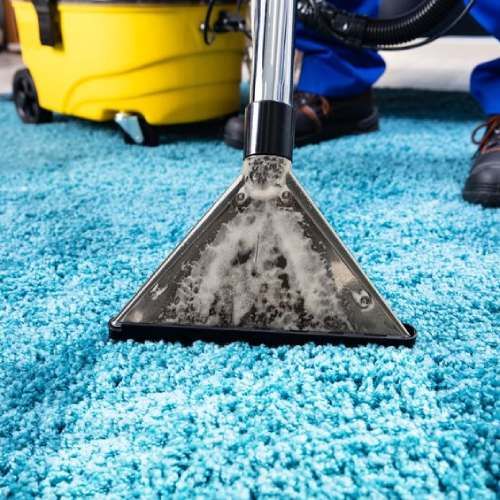 Best Commercial Carpet Cleaning Ashbury Lake Fl