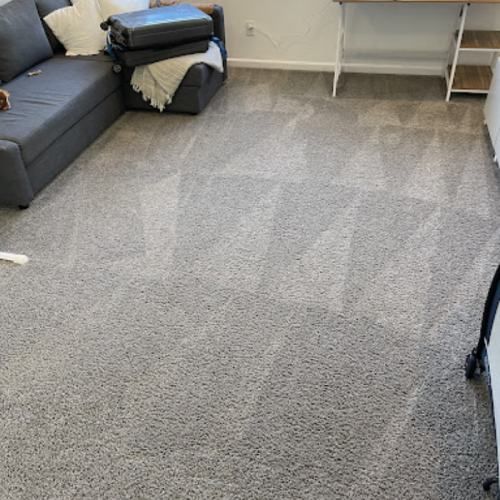 Carpet Cleaning Nocatee Fl Result 4